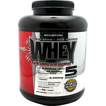 Scivation Whey Protein